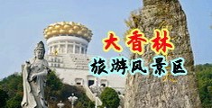 骚逼快来操视频中国浙江-绍兴大香林旅游风景区